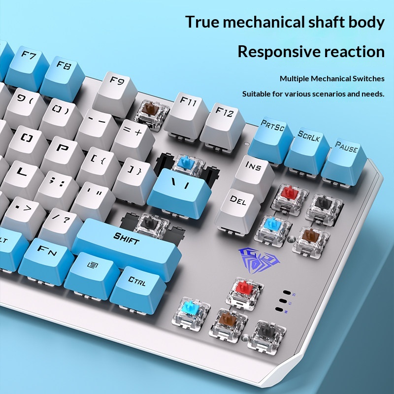 Aula F3087 Mechanische Tastatu – Esports Gaming Pcs Bewertung und Preis